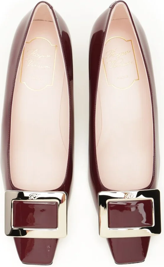 'belle Vivier' Pumps - Image 5