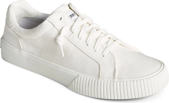 Bermuda LTT Sneaker