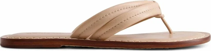 Bernardo Miami Thong Sandal