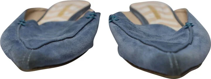 Beya Pointed Mules in Blue Suede