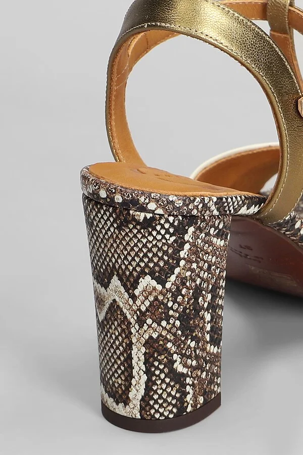 Biagio 46 Sandals In Beige Leather - Image 5