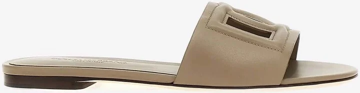 Bianca DG Logo Slides