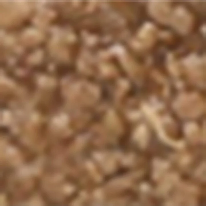 Birkenstock Raffia Arizona Sandals - Image 5