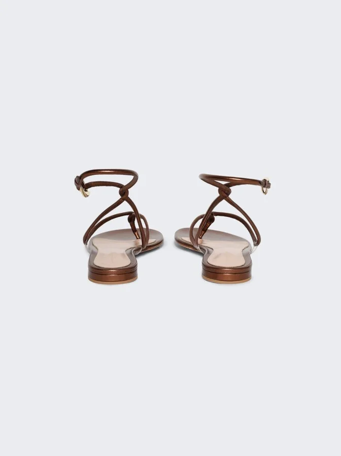 Black Mamba Flat Chocolate