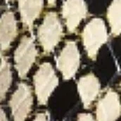 Boden Sandal in Natural Python-Embossed Leather with Silver Studs - Image 7