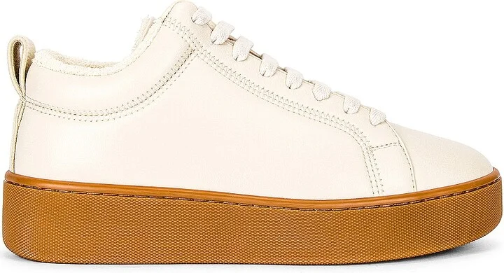 Bottega Veneta Lace Up Sneakers in Ivory