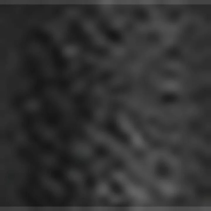 Bottega Veneta Lambskin Leaf Sandals 90 - Image 5