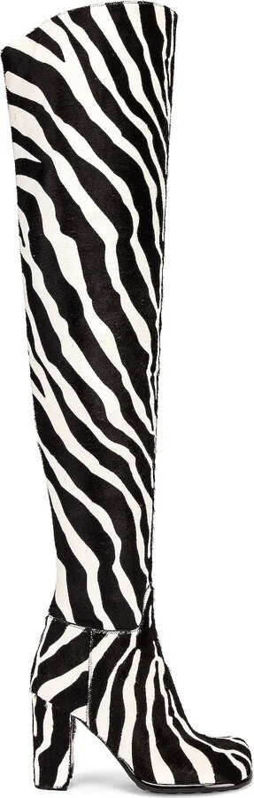 White & Zebra