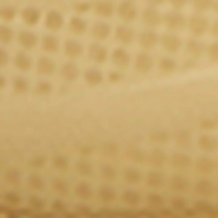 Bottega Veneta Orbit Sneakers - Image 6