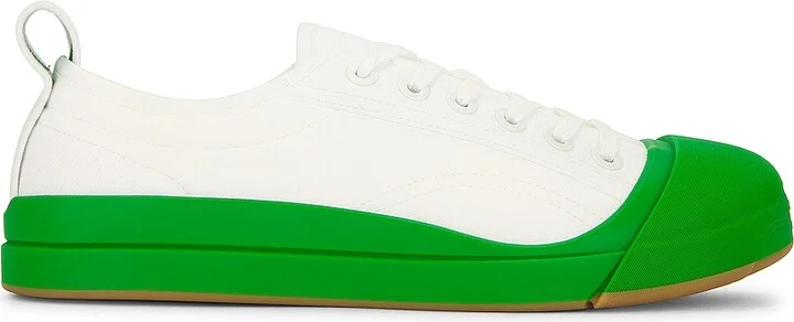 Optic White & Parakeet
