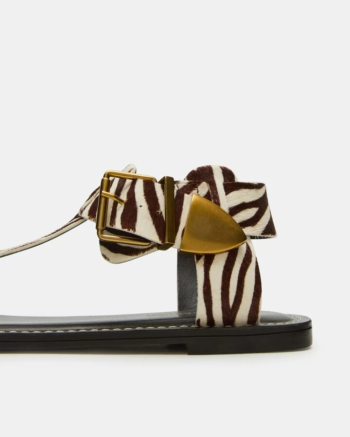 Brazinn Zebra - Image 3