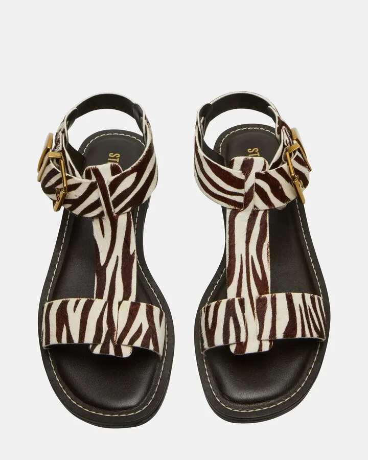 Brazinn Zebra - Image 4
