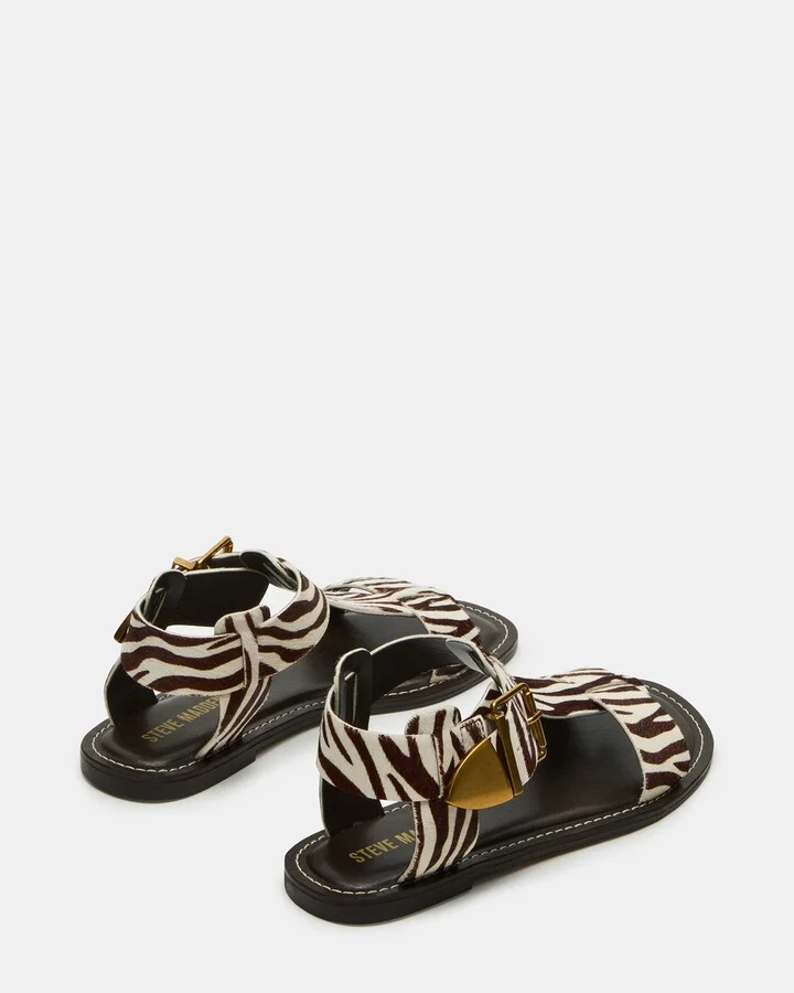 Brazinn Zebra - Image 5