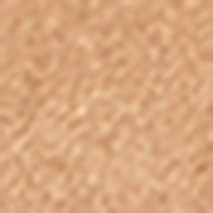 Brunello Cucinelli Suede Bit-Detail Loafers - Image 6
