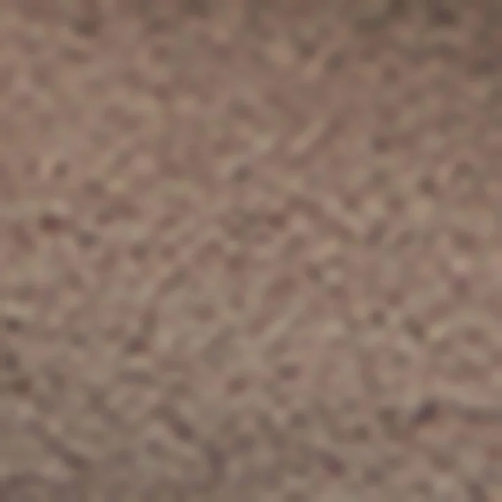 Brunello Cucinelli Suede Precious Strap Sandals - Image 6