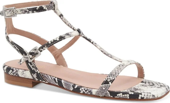 Black,white Snake