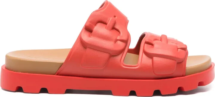 Brutus slides
