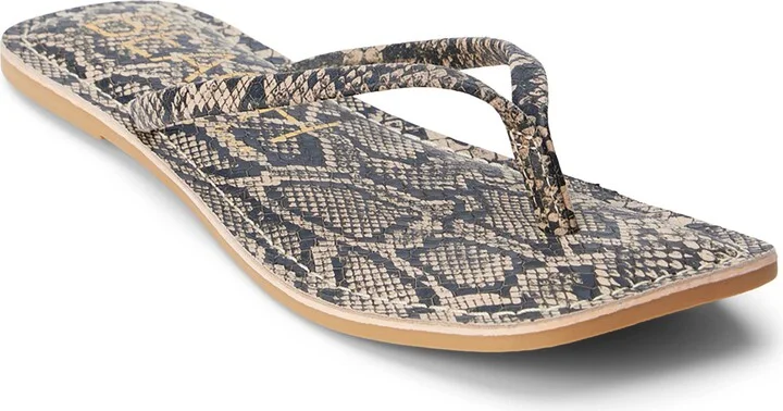 Brown Multi Snake
