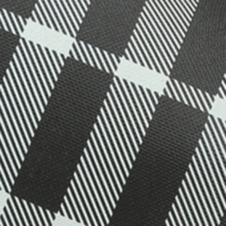 Burberry Check Slides - Image 5