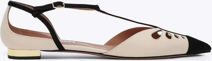 Camille Pointed-Toe Flats