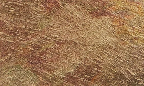 Camion Mule - Image 7