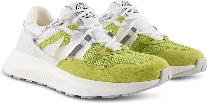 Summer Lime