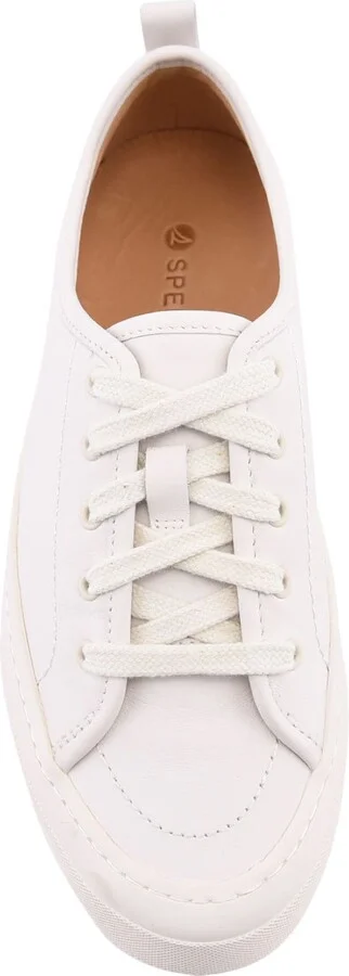 Candy Low Top Sneaker - Image 5