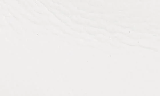 Carly Low Top Sneaker - Image 10