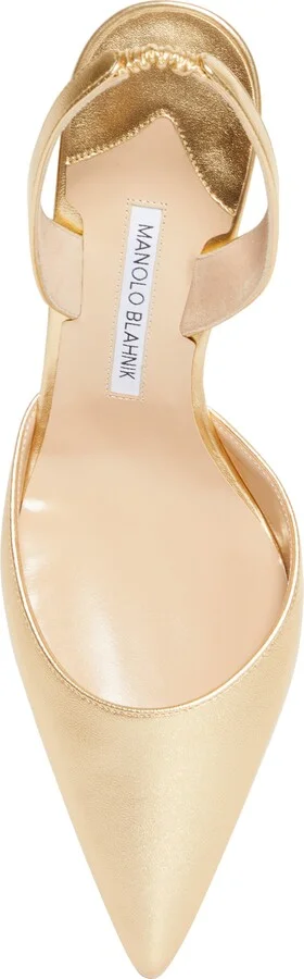 Carolyne Pointed Toe Slingback Pump - Image 5