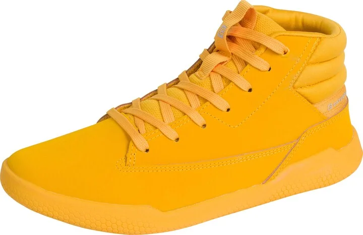 Cat Yellow