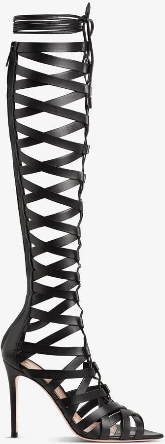 Catherine 105 Knee-High Gladiator Boots