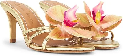 Cecily Heel