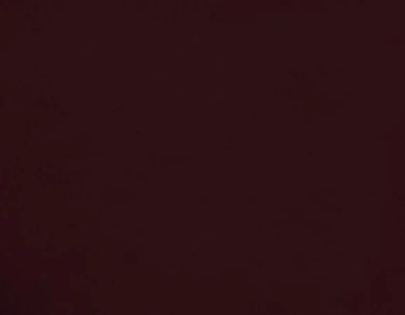 Celia Pump in Bordeaux Patent Leather - Image 6