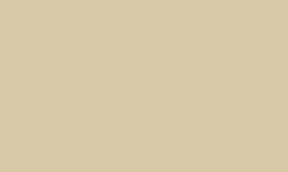 Check Mews Mules - Image 8