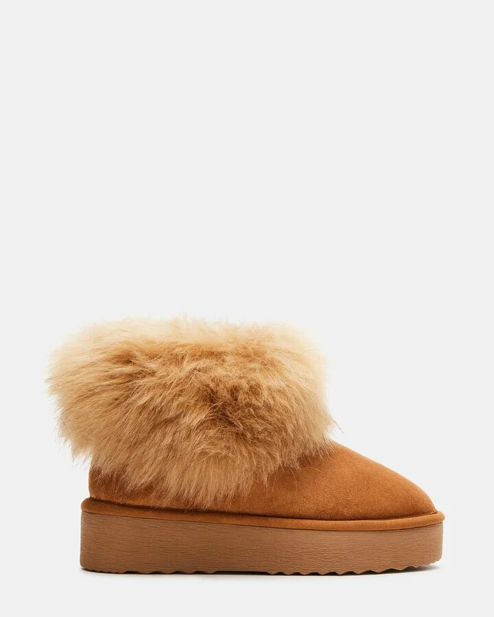 Chilly Chestnut