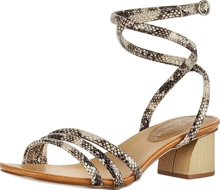 Black/Cream Snake