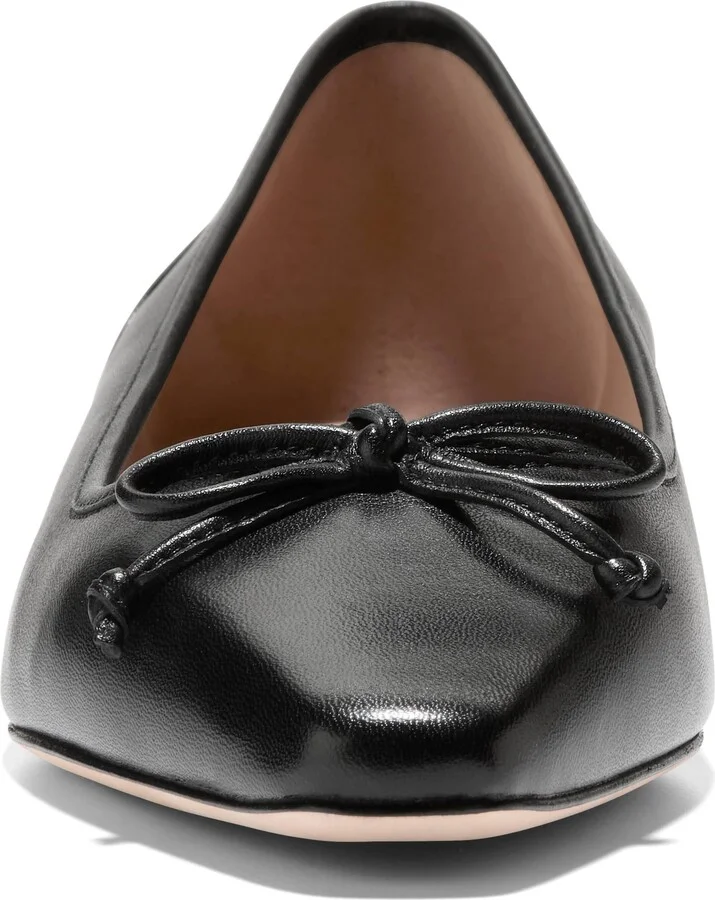 Chlea Pointed Toe Ballet Flat - Image 5