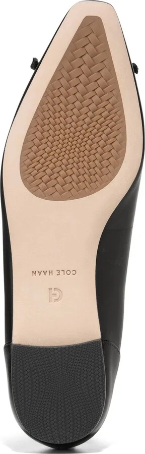 Chlea Pointed Toe Ballet Flat - Image 7