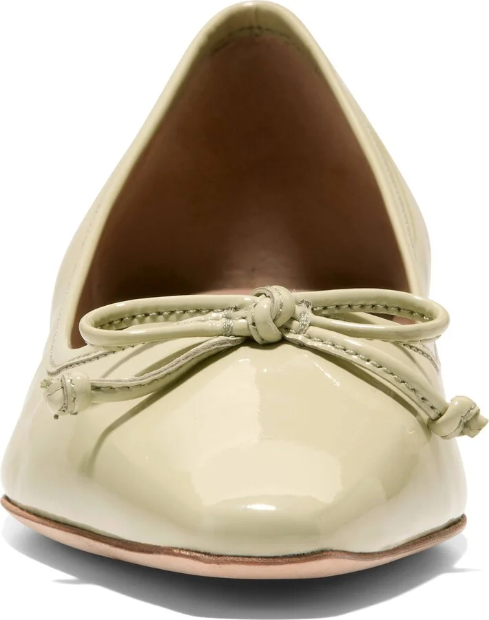 Chlea Pointed Toe Ballet Flat - Image 4