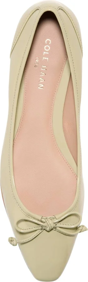 Chlea Pointed Toe Ballet Flat - Image 5