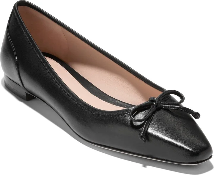 Chlea Pointed Toe Ballet Flat