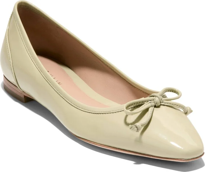 Chlea Pointed Toe Ballet Flat