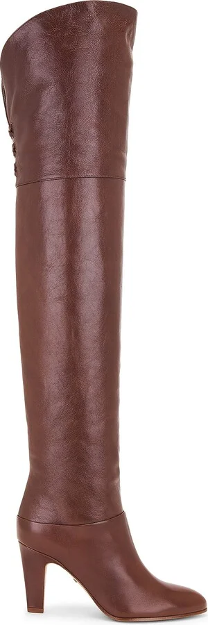 Sooty Brown