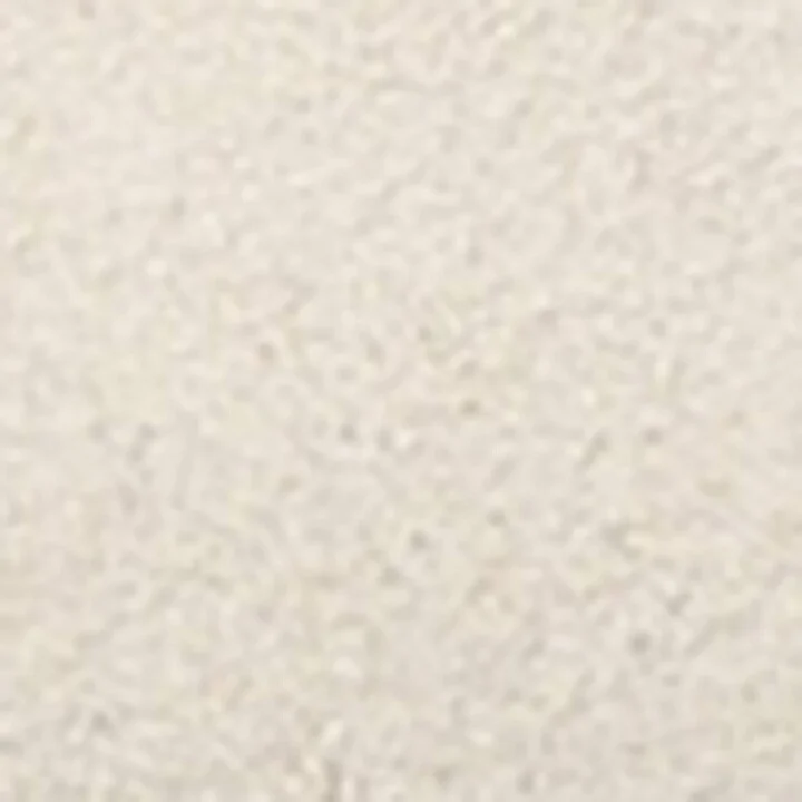 Chloé Leather Kick Low-Top Sneakers - Image 5