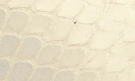Christina Slide Sandal - Image 7