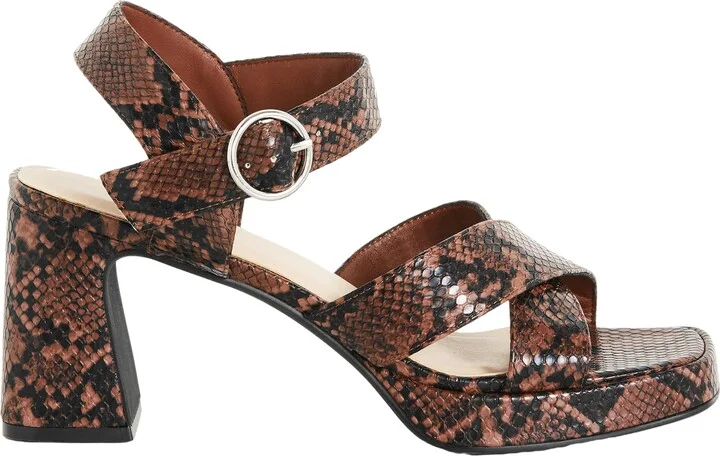 Brown Snake