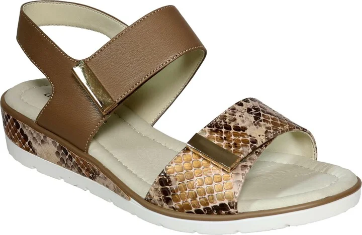 Camel Multi