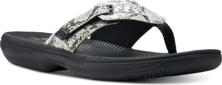 Black,white Snake