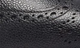 Classic Wingtip Boot - Image 7