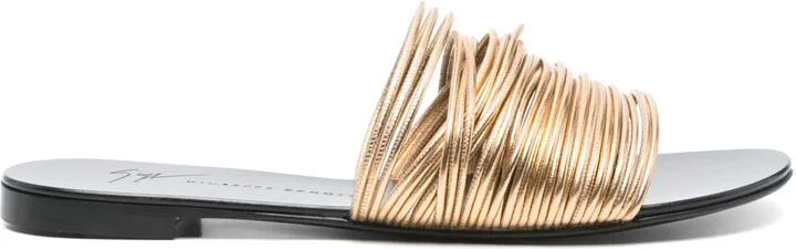 Clio flat slides